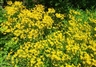 May Day 2013: Impressions Of New York's Central Park [PHOTOS]