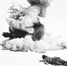 John Baldessari, Smoke, tree, shadow, and person