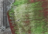 Gerhard Richter, Untitled (12.3.92)