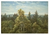 Carl Gustav Carus, EWALDETER ABHANG BEI PILLNITZ