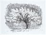 Gerhard Marcks, Tree
