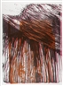 Hermann Nitsch, no title