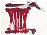 Markus Prachensky, Senatus Populusque Romeanus