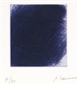 Arnulf Rainer, Violetter Strauch