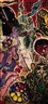Jacqueline Fahey, The Dinner Party