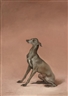 Claudio Bravo, PERRO