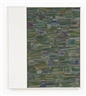 Carlos Cruz-Diez, PHYSICHROMIE 119