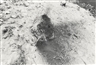 Ana Mendieta, UNTITLED (FROM THE FETISH SERIES)