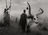 Sebastião Salgado, Sud-Soudan (South Sudan), 2006