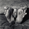 Roger Ballen, PUPPY BETWEEN FEET, 1999