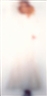 Eva Schlegel, UNTITLED