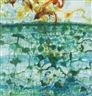 John Olsen, Morning, Sunbird and Lilypond