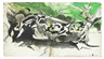 Graham Sutherland, Organic study
