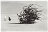 Sebastião Salgado, Soudan