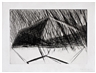 Bruce Nauman, Untitled