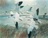 Sporting & Wildlife Art - Christie's South Kensington