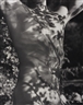 Bruce Weber, Tyke, Long Pond, Adirondack Park NY, 1988