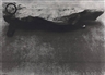 Joseph Beuys, EIN-STEIN-ZEIT