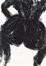 Felix Droese, TORSO