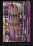 Gerhard Richter, PLAKAT DONAUESCHINGEN