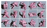 Yue Minjun, Fifteen Poses in Life: Pink
