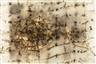Cai Guo Qiang, Money Net No. 3  Project for Royal Academy of Art, London