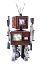 Nam June Paik, Vidiot