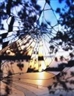 Bing Wright: Broken Mirror/Evening Sky - James Harris Gallery