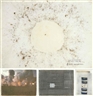 Cai Guo Qiang, Project for Extraterrestrials No. 9: Fetus Movement II