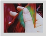 Pipilotti Rist, Kern der Berührung