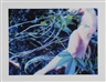 Pipilotti Rist, Stemmung in die Lianen
