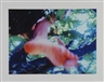Pipilotti Rist, Baum der Erkenntnis