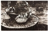 Cafe Town Sale - Stephan Welz & Co., Cape Town