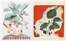 Previously unseen Dali watercolours expected to make £1m