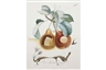 Fourteen unseen Salvador Dali paintings surface at Bonhams Impressionist and Modern Art sale