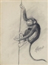 Edward Hopper, Monkey
