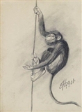 Monkey