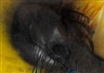 Otto Piene, DARK ROMANCE