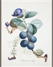 Impressionist & Modern Art - Bonhams New Bond Street