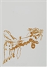 Joseph Beuys, Untitled (Bienenkönigin)