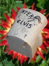 Dick Verdult: Internet and Elvis Will Never Die - Annet Gelink Gallery