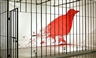 Freedom: Just Another Word For... - MASS MoCA