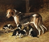 John Emms, A Foxhound bitch feeding her pups