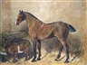John Emms, A hunter in a stable with a goat
