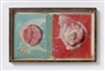 Dieter Roth, Book cover from the luxury edition "Gesammelte Werke Bd. 6: bok 3c