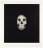 Damien Hirst, Skull II