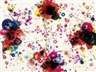 Sam Francis, Demeter