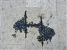 Cornelia Parker - Frith Street Gallery