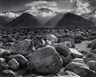 Ansel Adams in Queens