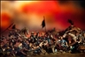 David Levinthal: War Games